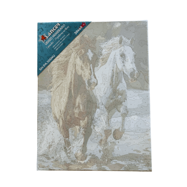 LIENZO LANCER NUMERADO 40X30CM - Image 5
